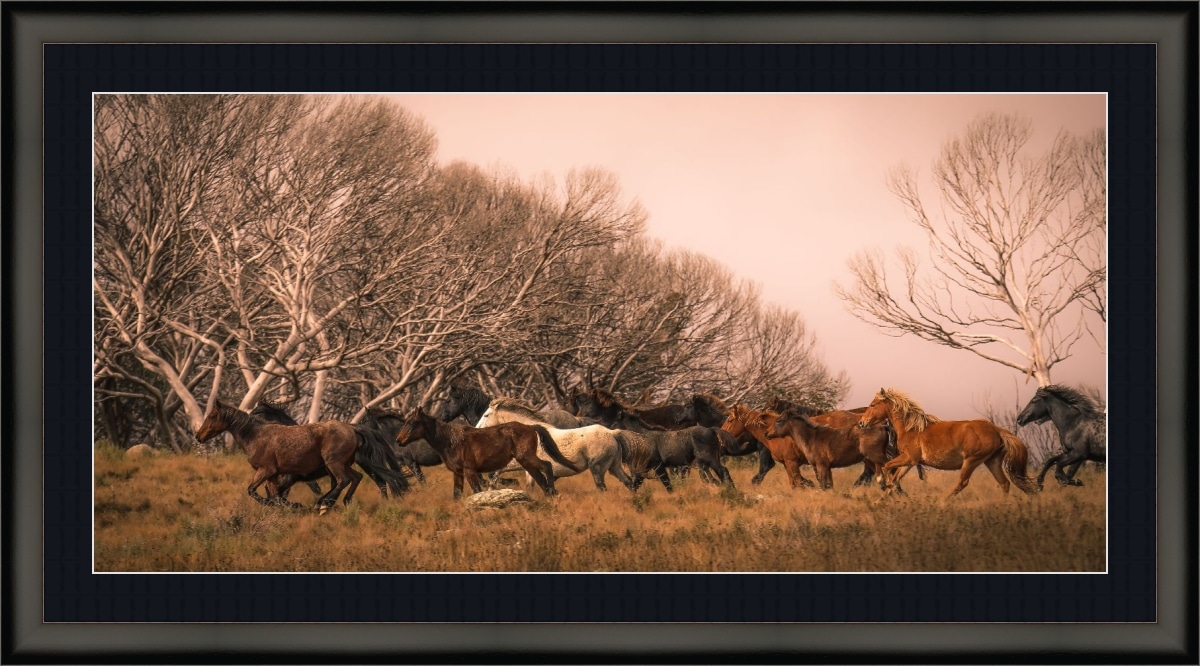 Print & Frame With Matboard & Glass