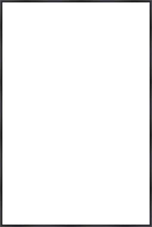 Frame Your Canvas Art