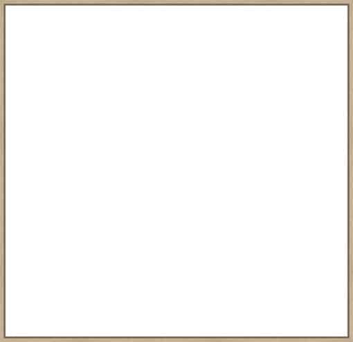 Frame Your Canvas Art