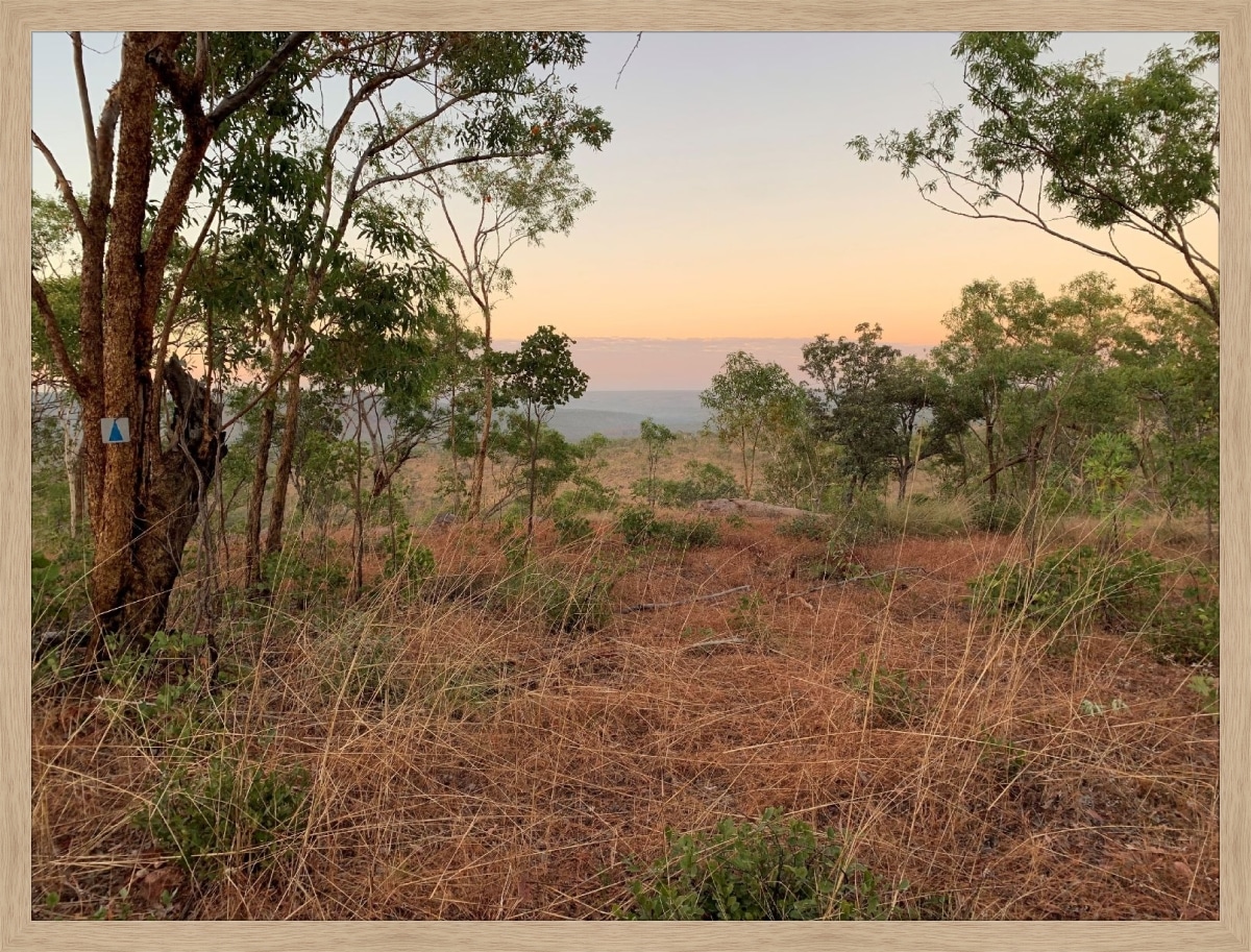 Print & Frame With Matboard & Glass