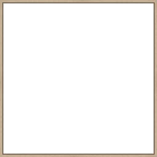 Frame Your Canvas Art