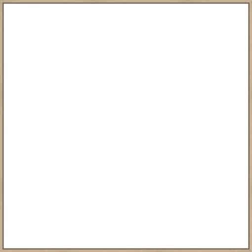 Frame Your Canvas Art