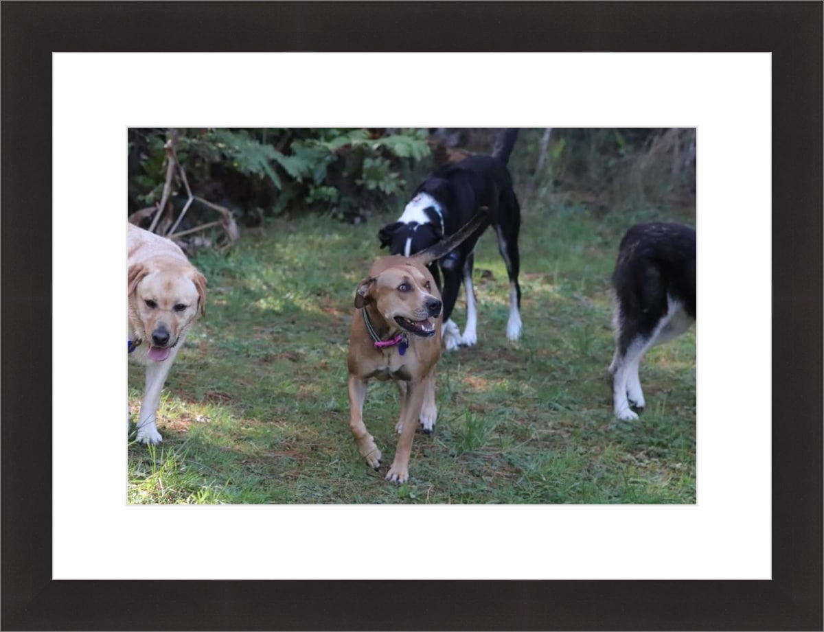 Frame your paper art