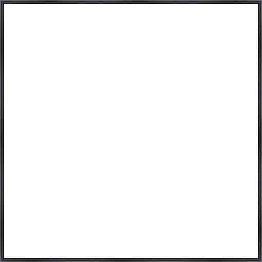 Frame Your Canvas Art