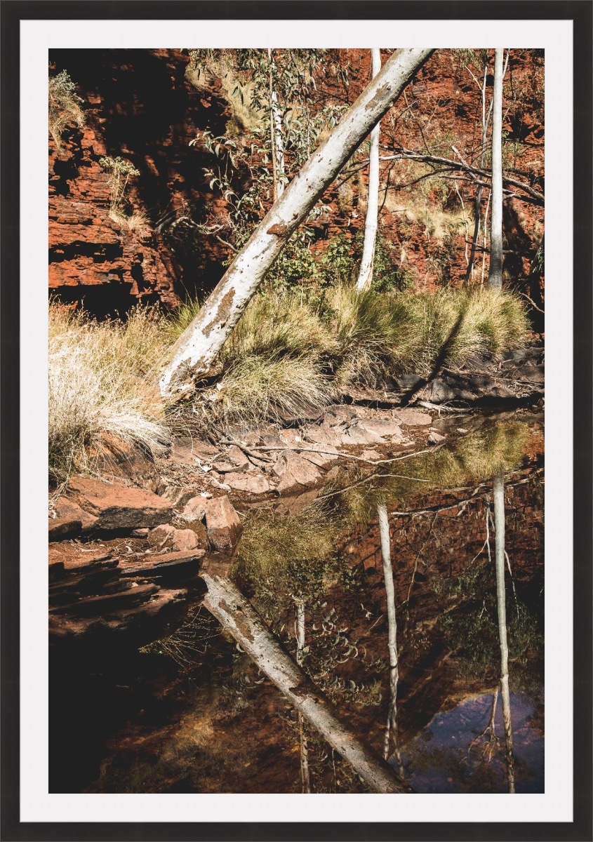 Print & Frame With Matboard & Glass