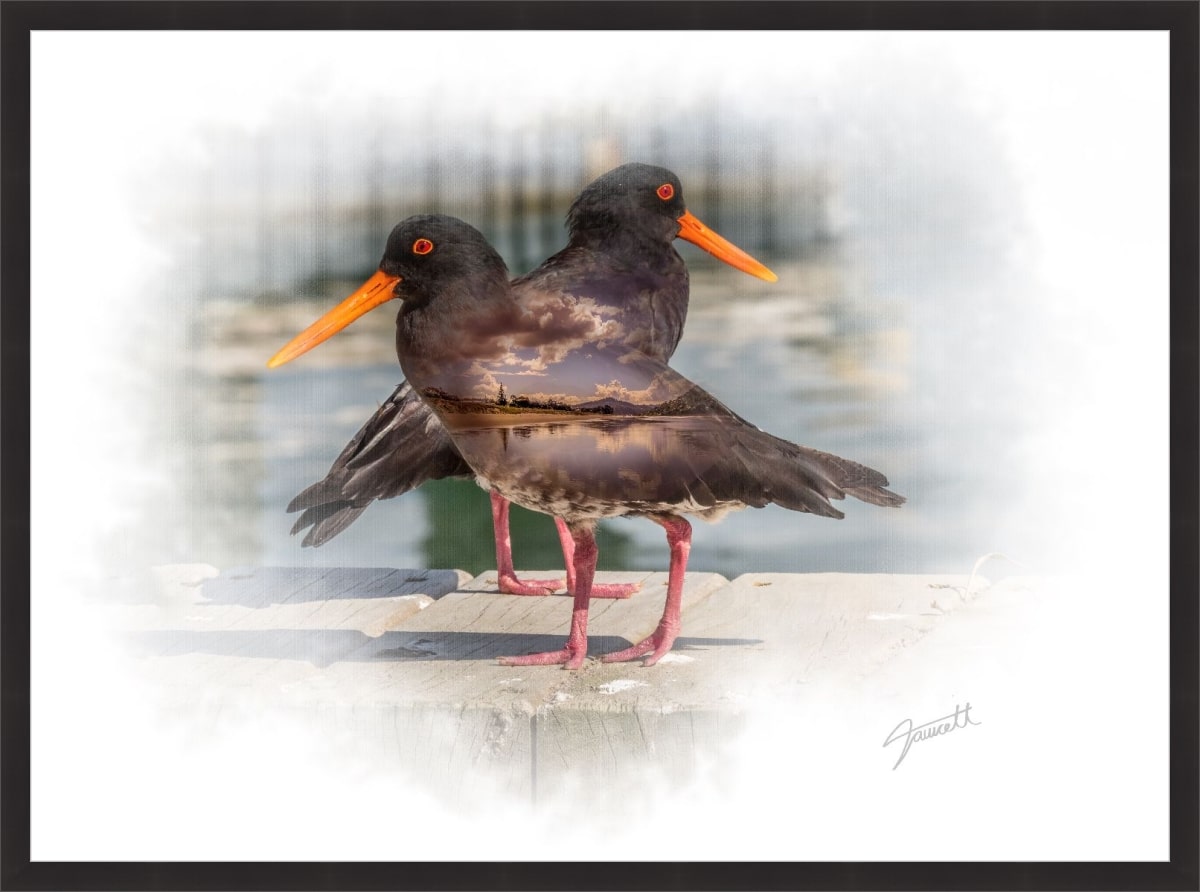 Print & Frame With Matboard & Glass