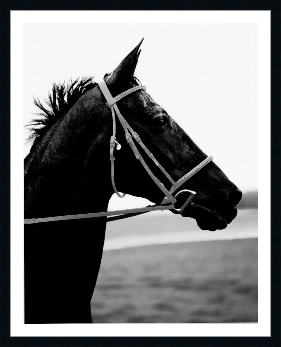 Print & Frame With Matboard & Glass