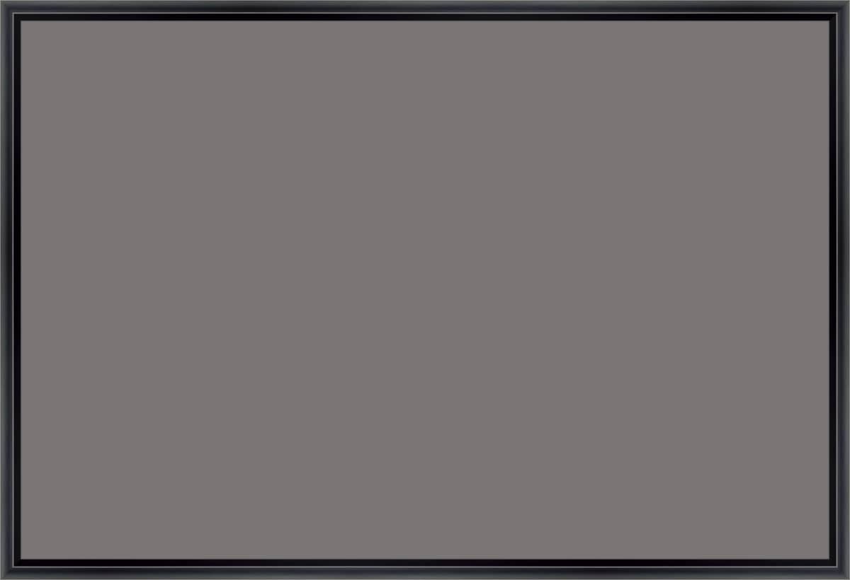 Canvas Print & Frame