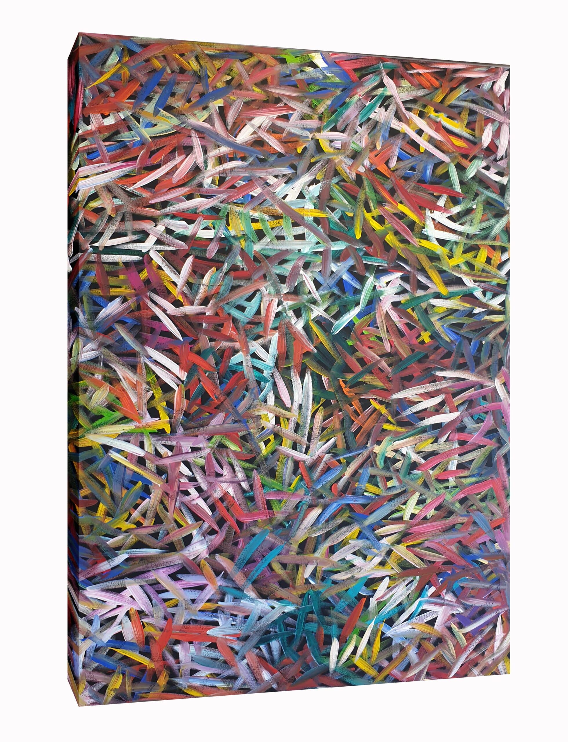 Louise Numina - Spinifex Grass 148x92cm - Indooroopilly Shop - Image 6