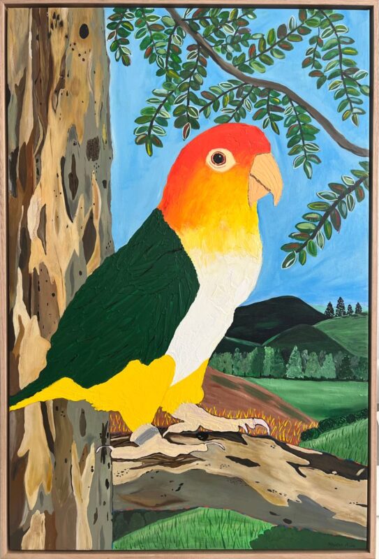 Image #1 from Kristen H.