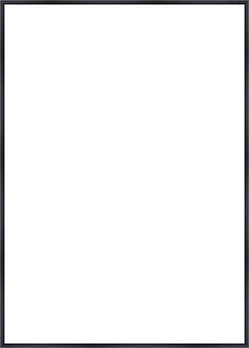 Frame Your Canvas Art