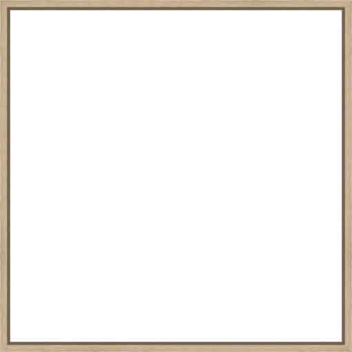 Frame Your Canvas Art