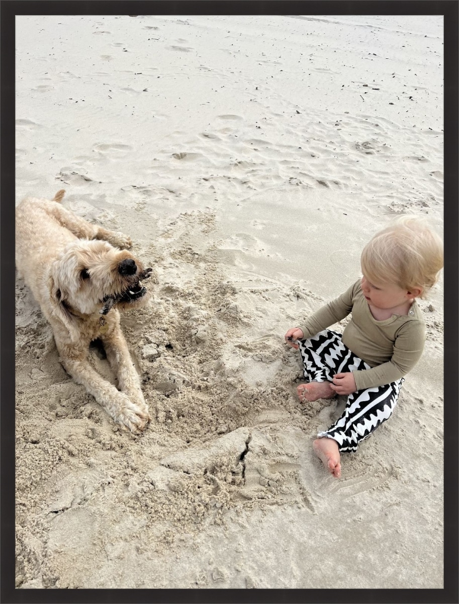 Print & Frame With Matboard & Glass