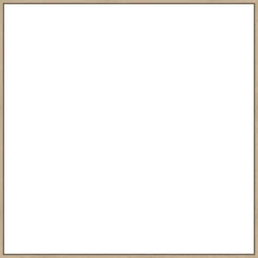 Frame Your Canvas Art