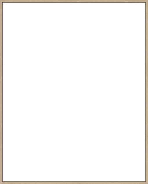 Frame Your Canvas Art