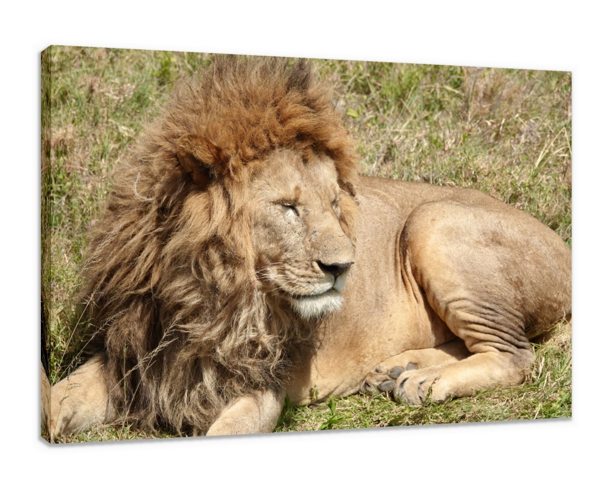Canvas Print & Stretch