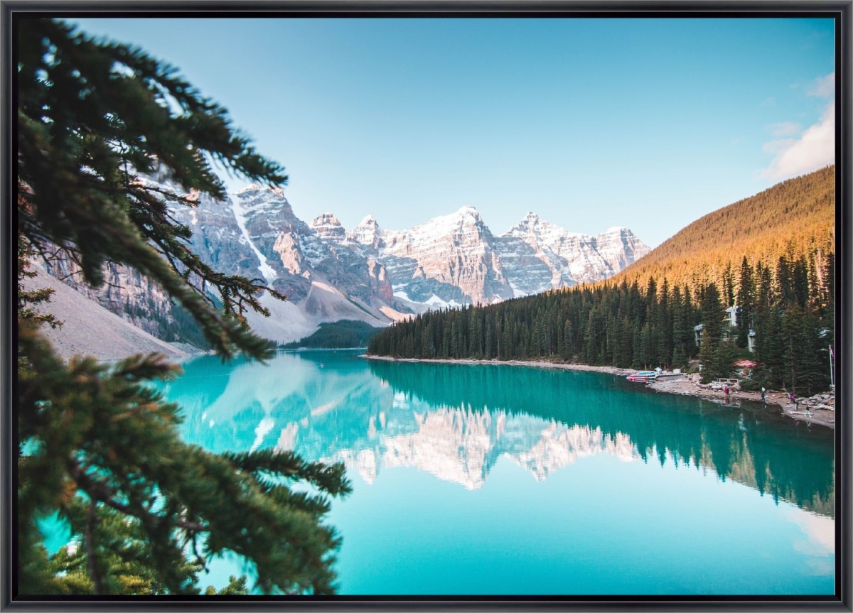 Canvas Print & Frame