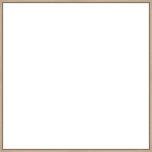 Frame Your Canvas Art