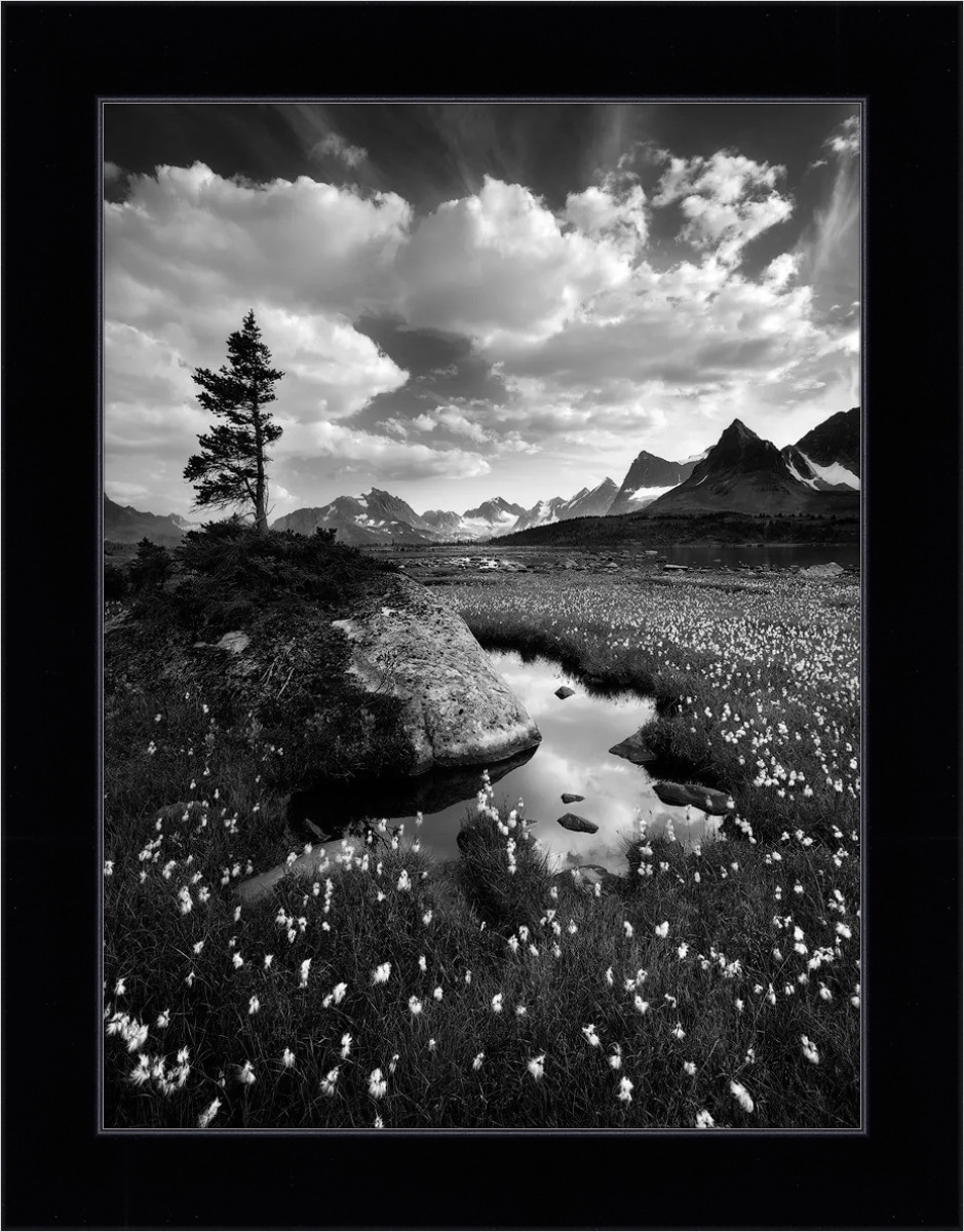 Print & Frame With Matboard & Glass