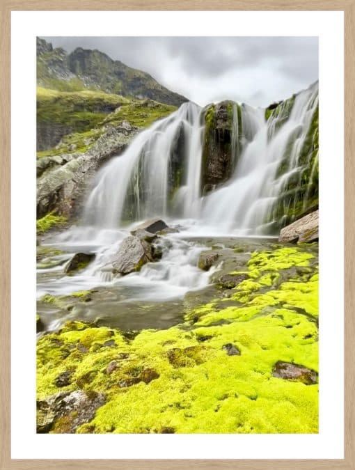 Print & Frame With Matboard & Glass
