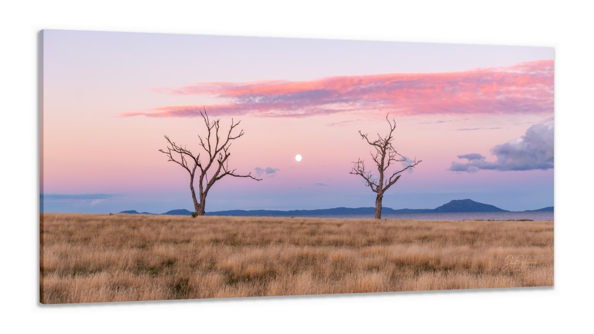 Canvas Print & Stretch