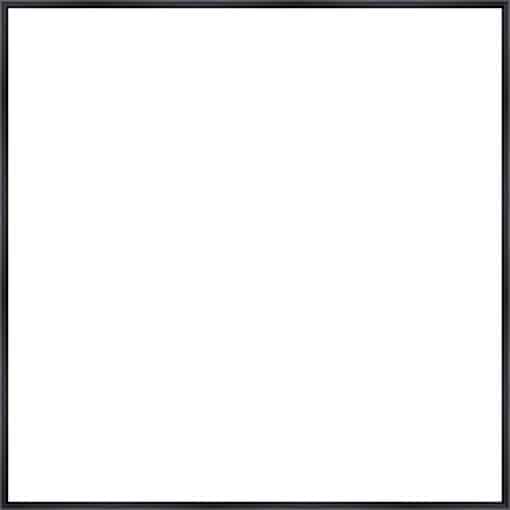 Frame Your Canvas Art