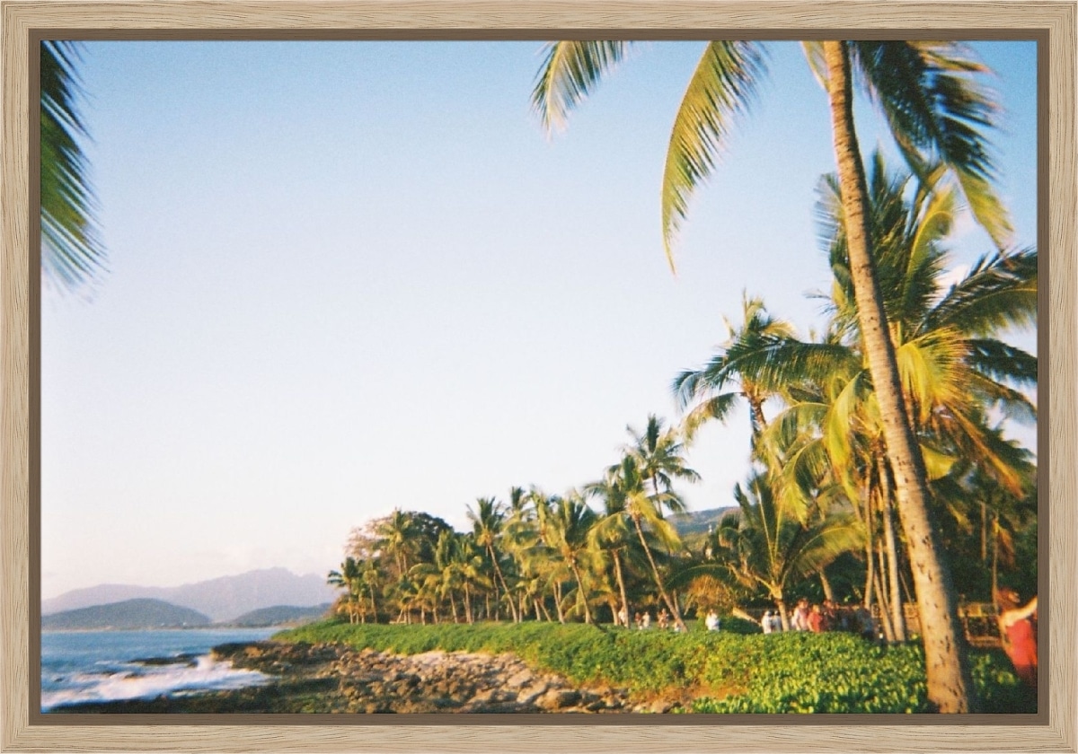 Canvas Print & Frame