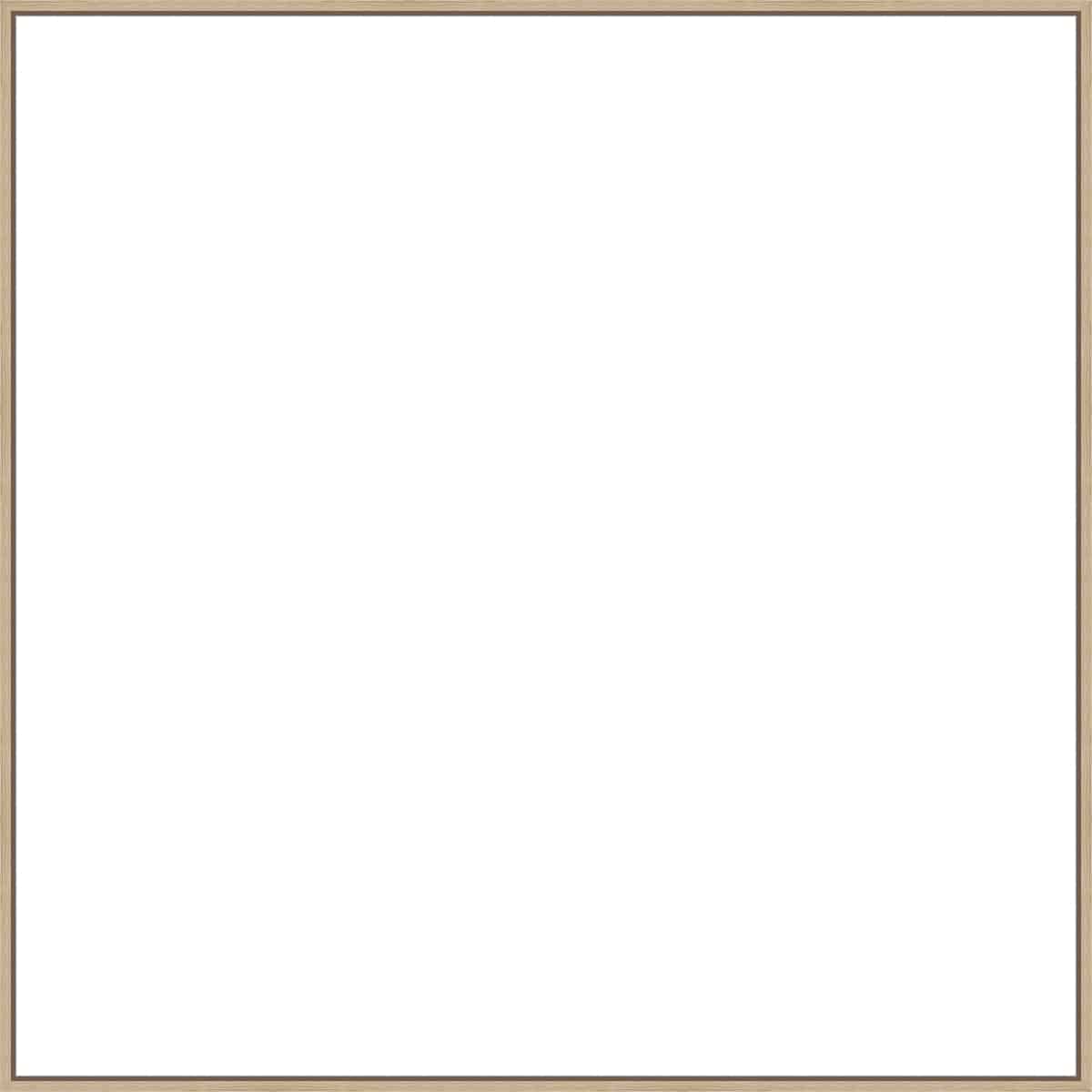 Frame Your Canvas Art