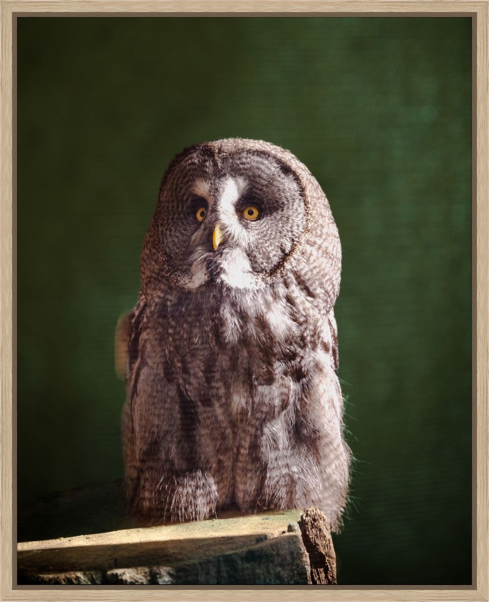 Canvas Print & Frame